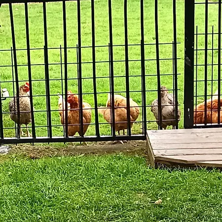 L'oree Du Bois 펜션