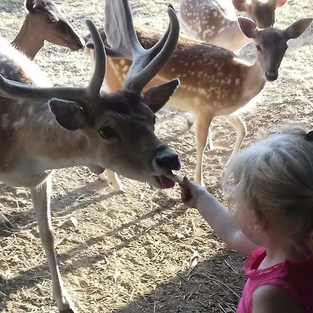 L'oree Du Bois 펜션 *